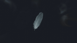 This photo appears to be a white feather, representing an angel surrounded by darkness but also representing peace among artists split by the Russian-Ukrainian War.